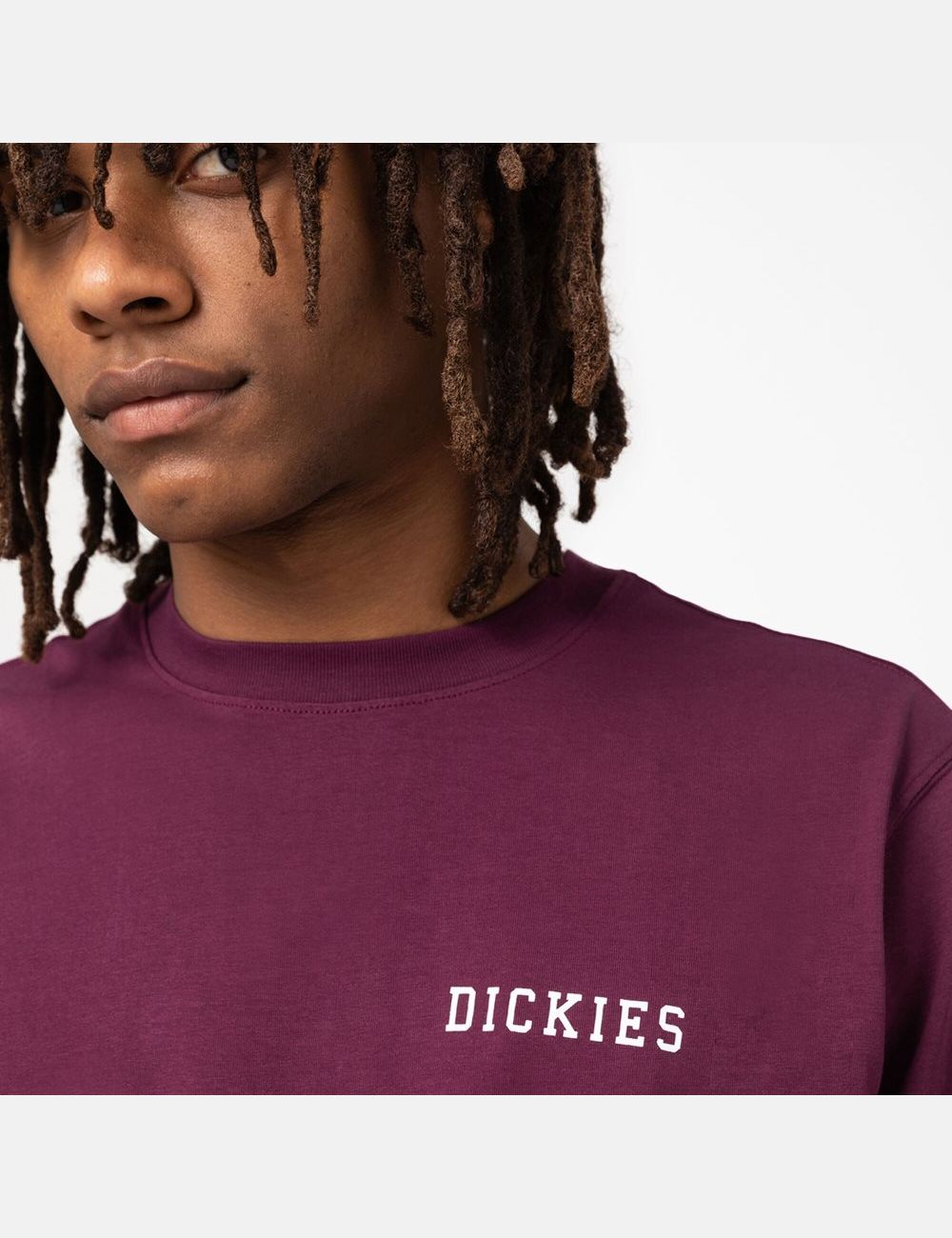 Grape Wine Dickies Cleveland Short Sleeve Graphic T-Shirts | 241AETDRM