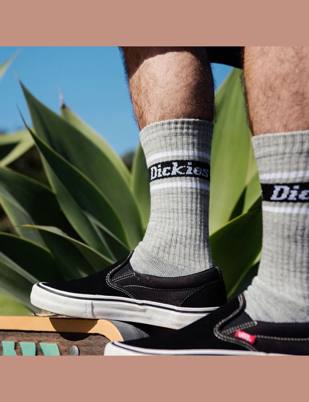 Gray Dickies Rugby Stripe Crew Socks | 057ANYZCW