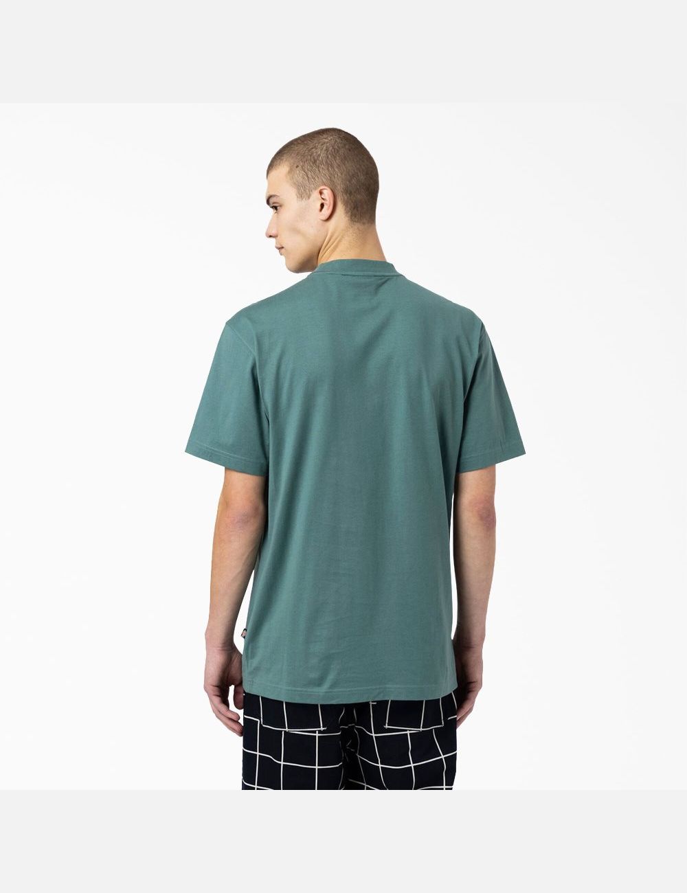 Lincoln Green Dickies Skateboarding Mount Vista T-Shirts | 582GCIUQM