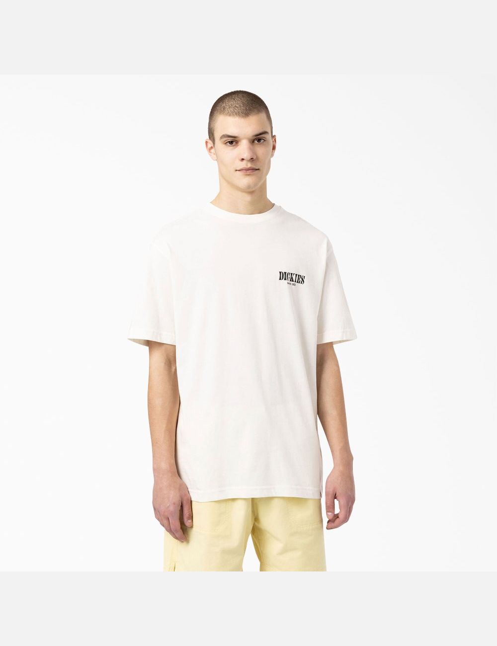 Natural Beige Dickies Kelso Graphic T-Shirts | 192MRBVGO