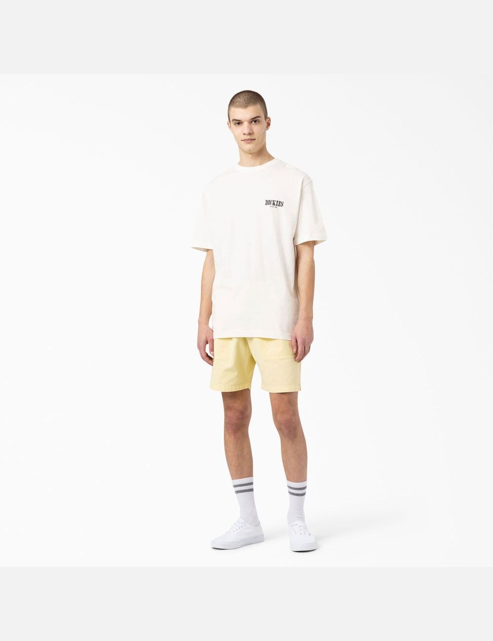 Natural Beige Dickies Kelso Graphic T-Shirts | 192MRBVGO