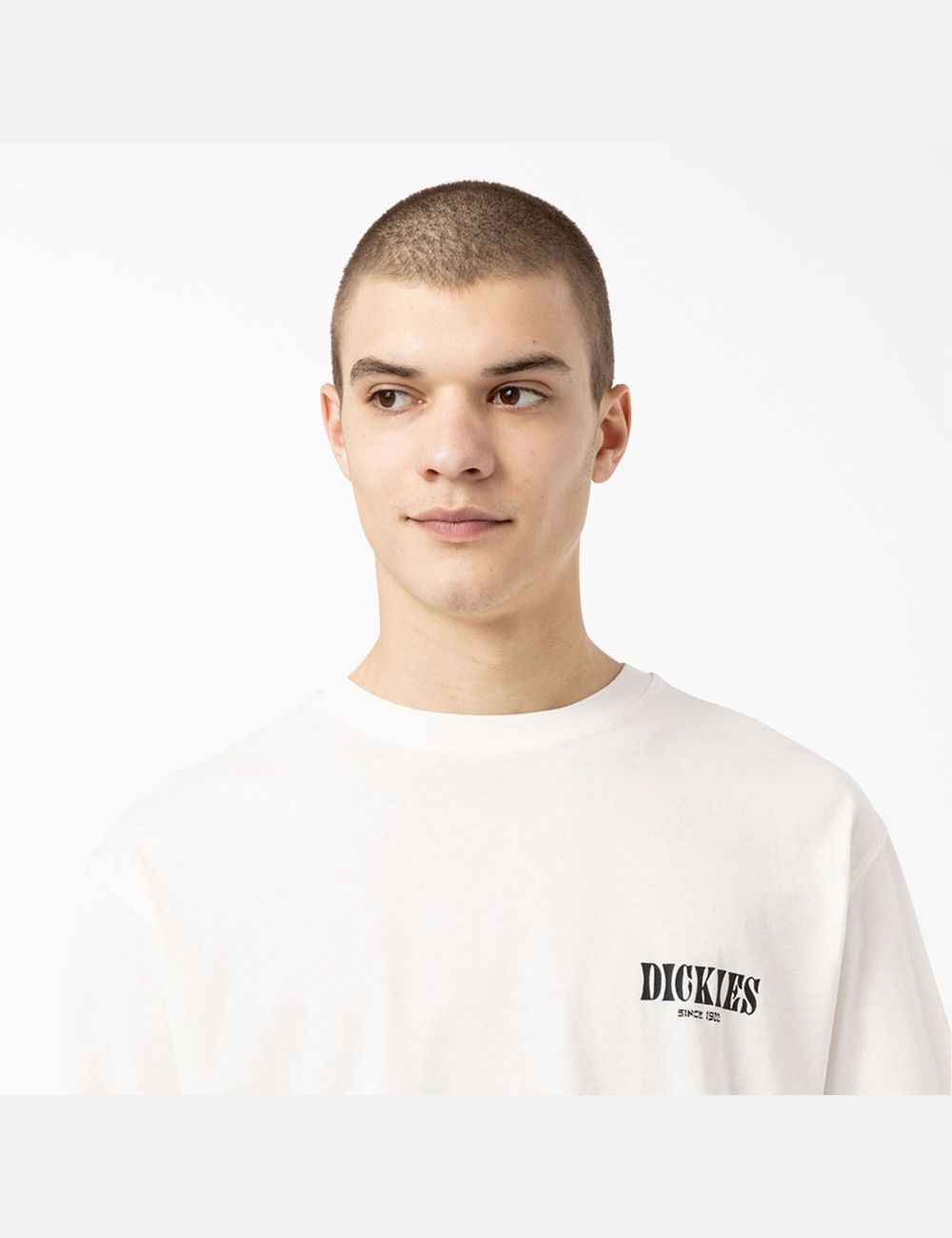 Natural Beige Dickies Kelso Graphic T-Shirts | 192MRBVGO