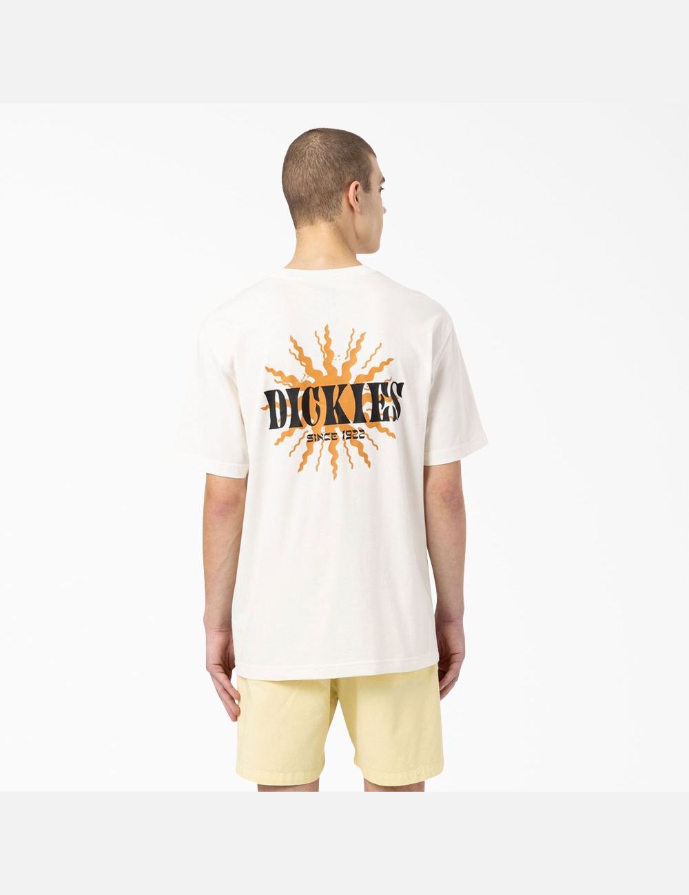 Natural Beige Dickies Kelso Graphic T-Shirts | 192MRBVGO