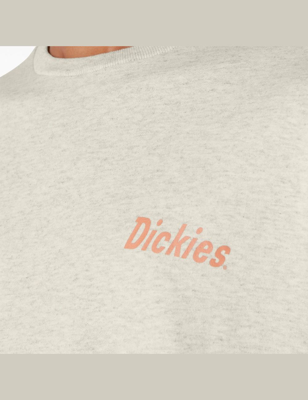 Oatmeal Heather Dickies Skateboarding Split Graphic T-Shirts | 297JTWDIB