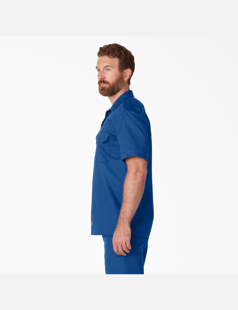 Royal Blue Dickies Short Sleeve Shirts | 648RYXBDH