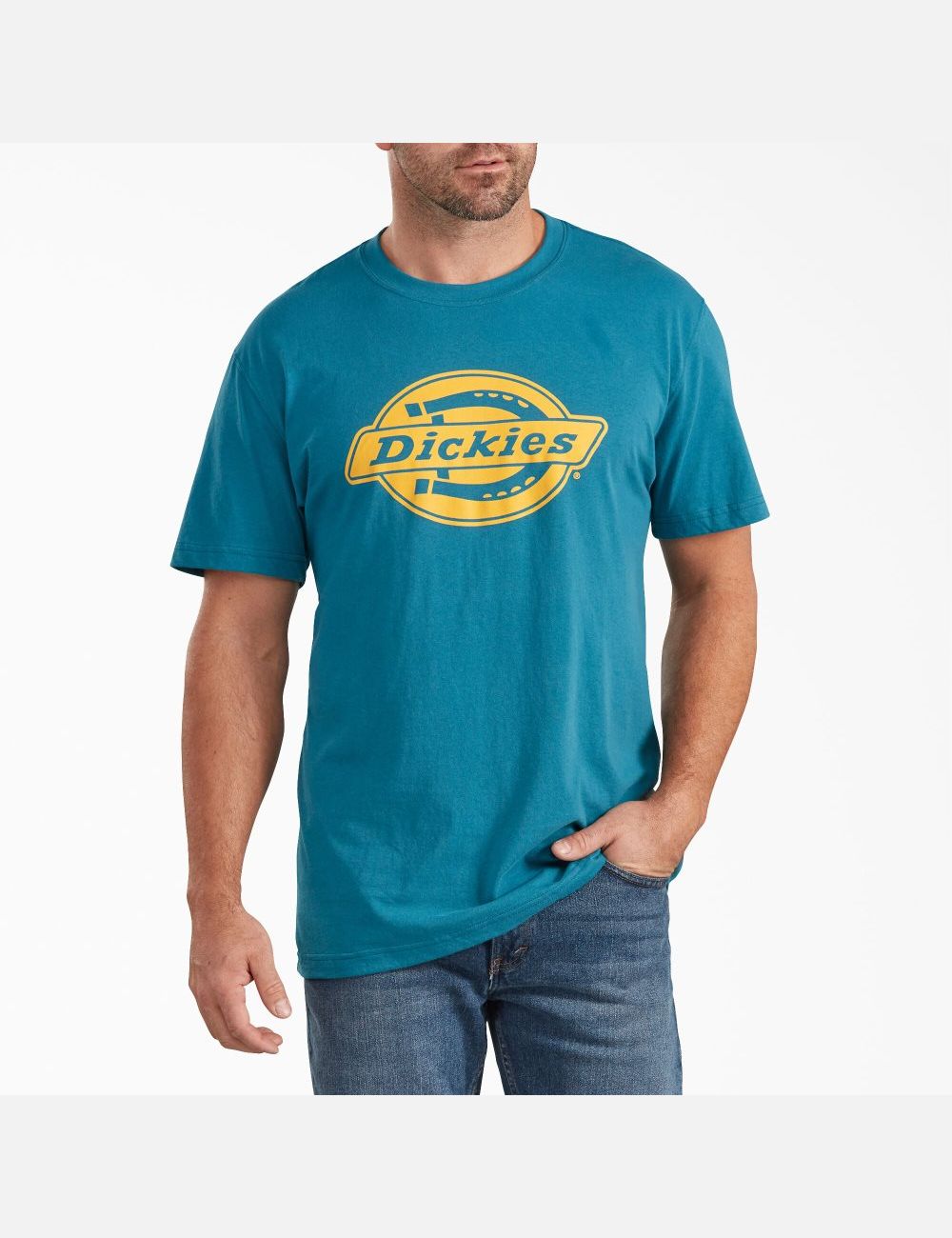 Teal Dickies Short Sleeve Relaxed Fit Graphic T-Shirts | 639JNMPIT