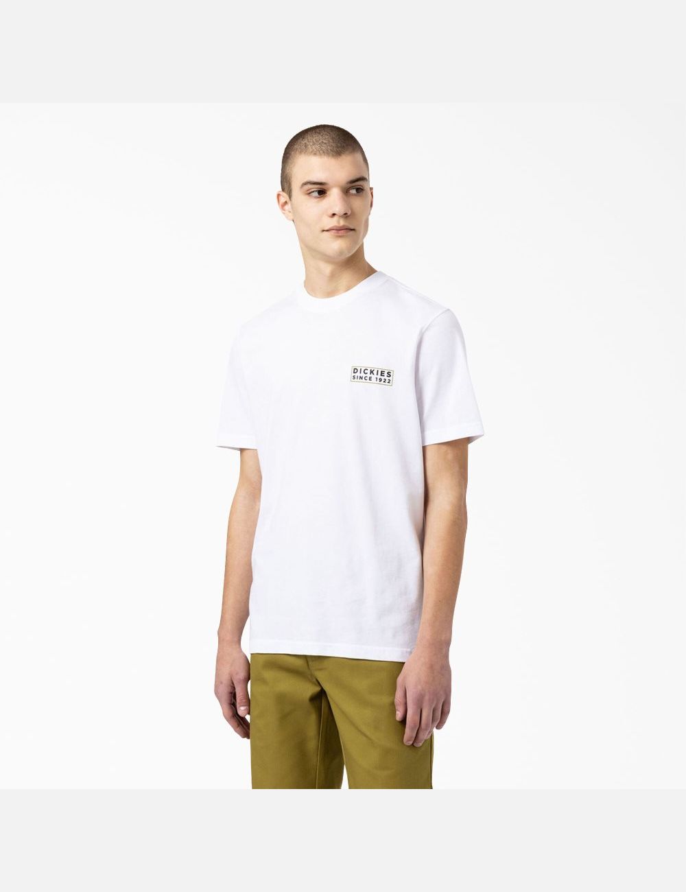 White Dickies Pacific Graphic T-Shirts | 512OQAWIN