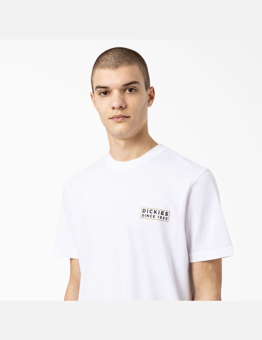 White Dickies Pacific Graphic T-Shirts | 512OQAWIN