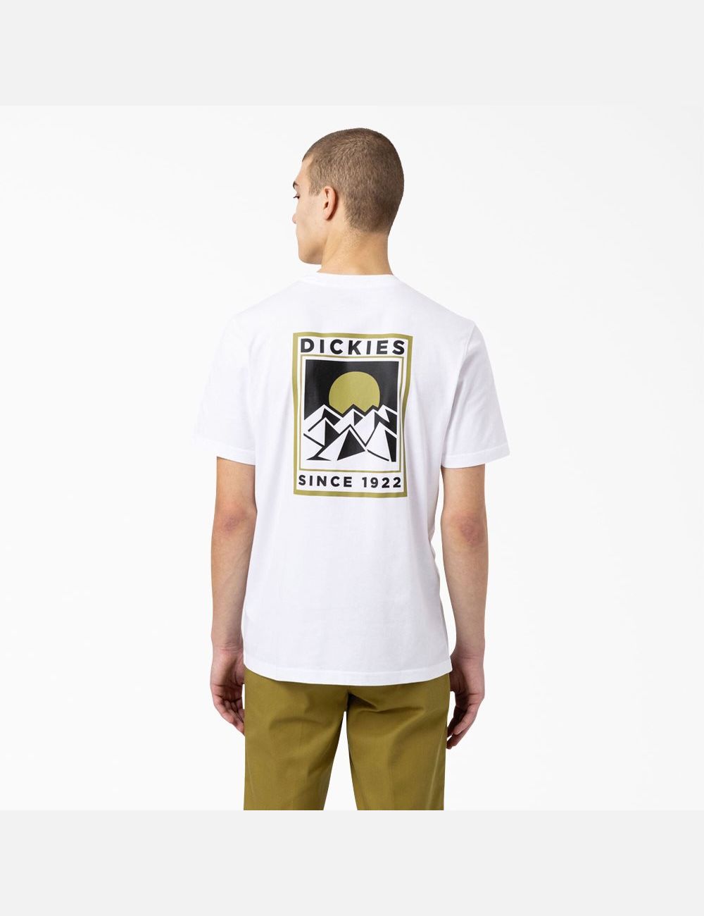 White Dickies Pacific Graphic T-Shirts | 512OQAWIN