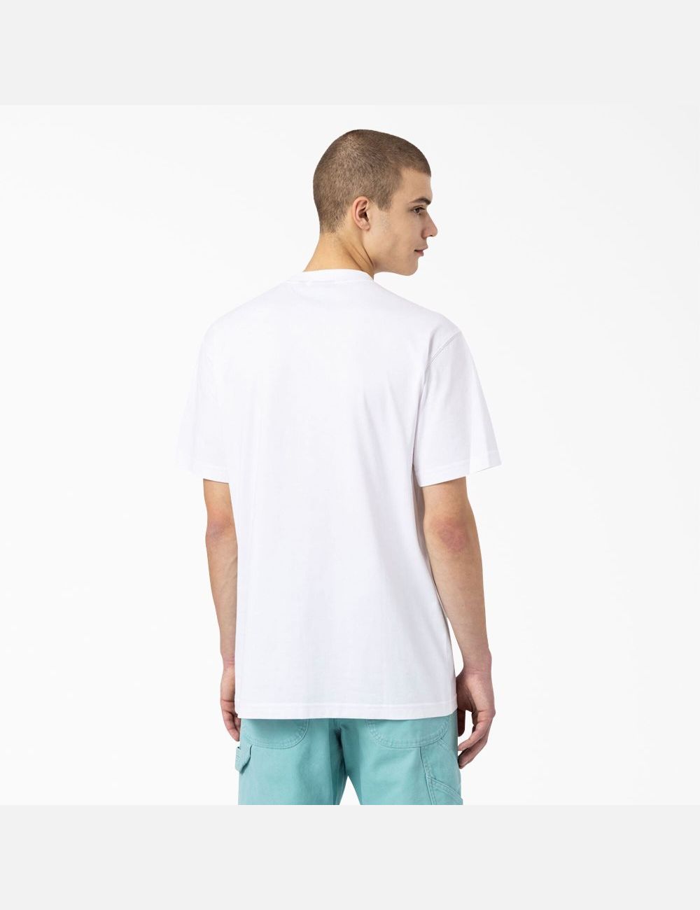 White Dickies Skateboarding Mount Vista T-Shirts | 870SZYDTR